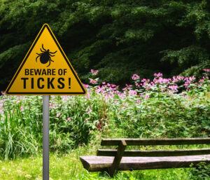 Tick warning sign in park