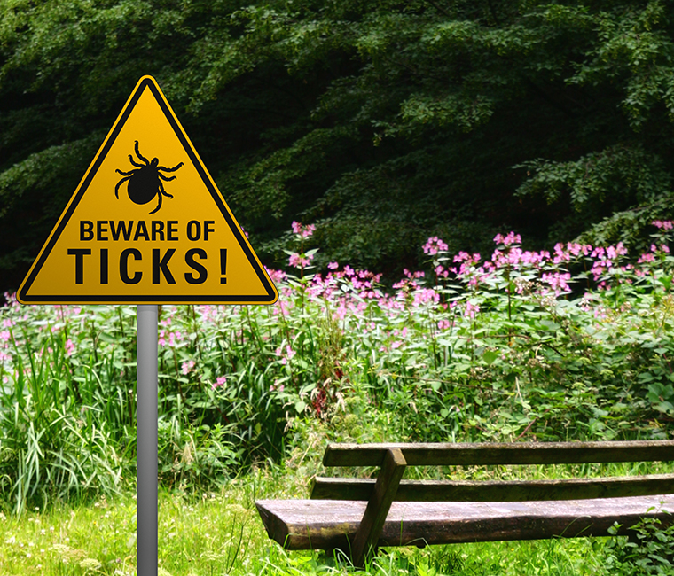 Beating the clock on ticks and tick-borne illnesses